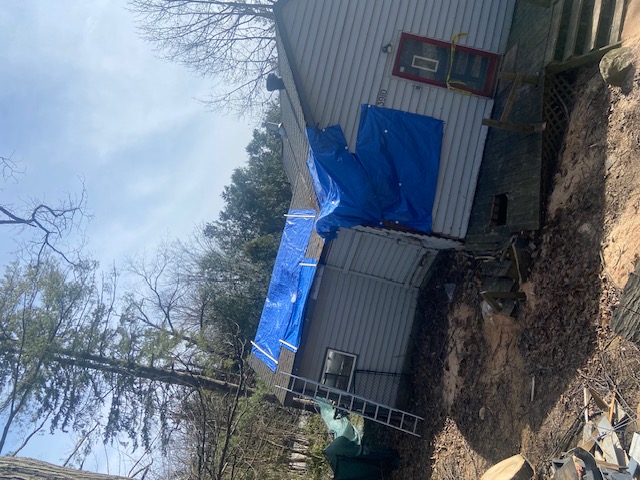 Tree removed, roof tarped and secured
