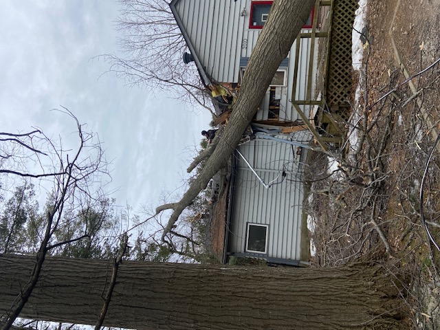Crew on-site — safe removal of tree from structure